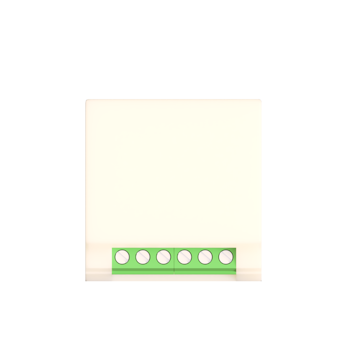 2ch Retrofit Smart Switch (10A, 110-220V)