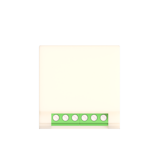 2ch Retrofit Smart Switch (10A, 110-220V)